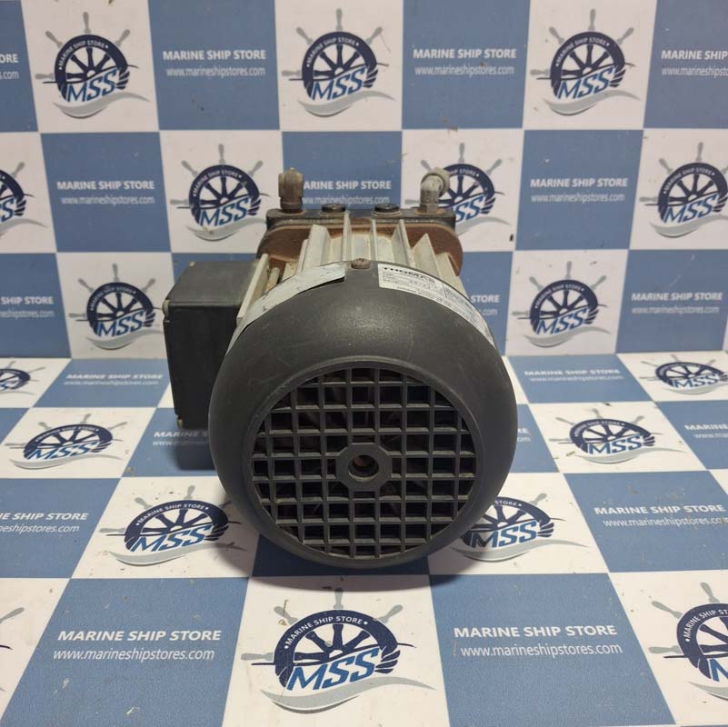 THOMAS PICOLINO VTE3 25130110 ROTARY VANE PUMP